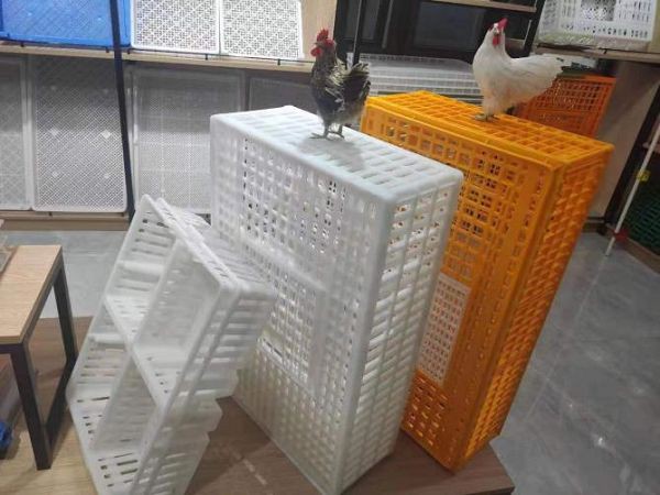 product-600-450 product-600-450